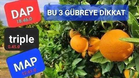 DAP 18.46 / Triple / MAP /Gübreleri Ne İşe Yarar. DAP gübre. Triple. MAP gübre #tropikaltopraktv