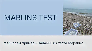 Марлинс тест  Примеры заданий